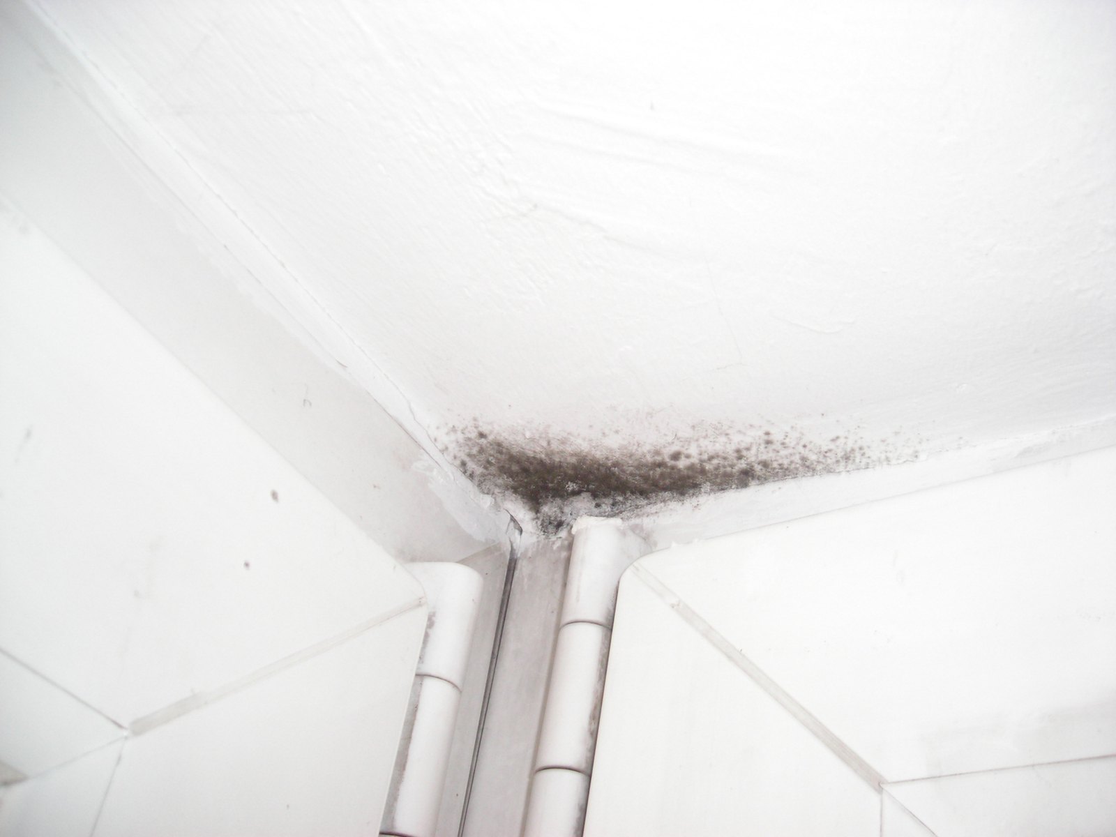 Black mould spreading across a white ceiling from a cold corner of a room, above a door frame
