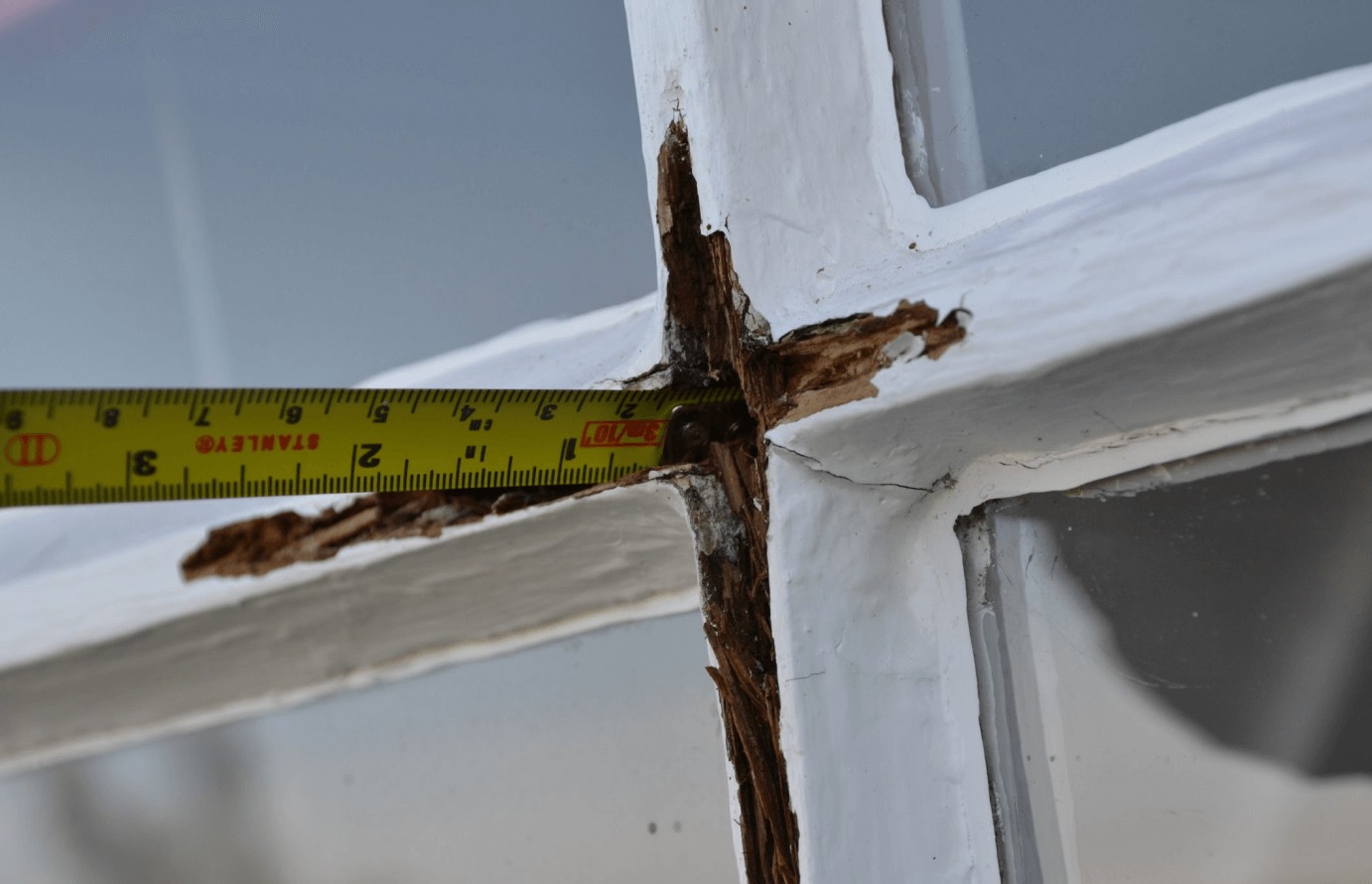 Close-up: rotten timber under fresh paint where the glazing bars meet