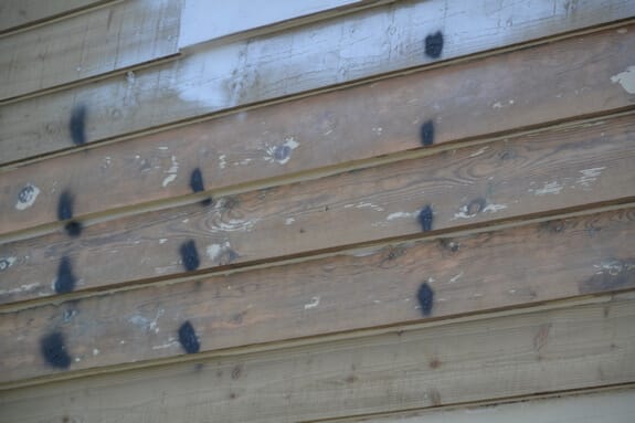 Close-up of weatherboards sanded back to bare timber, with traces of old paint and dark spots over the nails