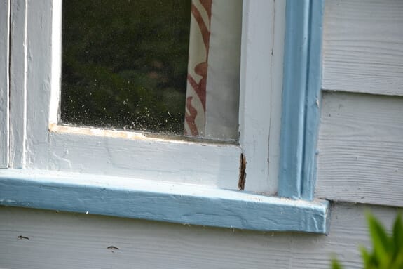 Lower corner of a casement window with a split joint showing bare timber above a blue sill