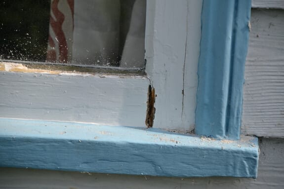 Split joint with bare, decayed timber at the corner of a casement window above its blue sill