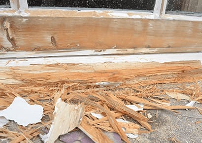 rotten sills